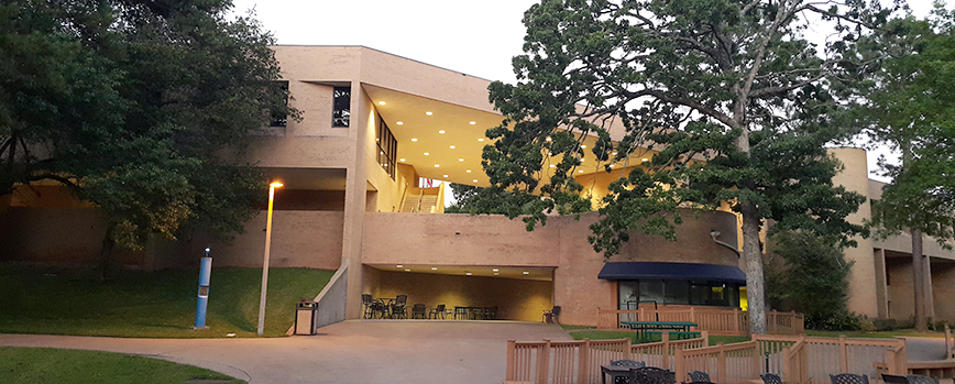 University of Texas at Tyler Counseling Programs University of Texas at Tyler Counseling Programs